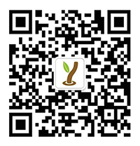 江蘇中企自動(dòng)化儀表有限公司